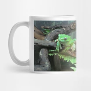 Green frog, photography. Mug